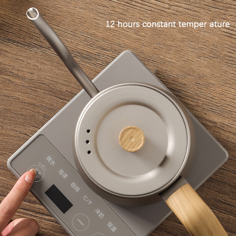 Electric Kettle Gooseneck - 110v 220v Ketel theepot zwanenhals slanke