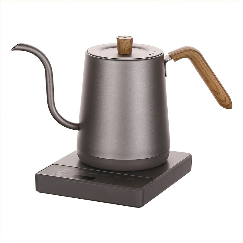 110v 220v Ketel theepot zwanen - Electric Kettle Gooseneck recensie en prijs