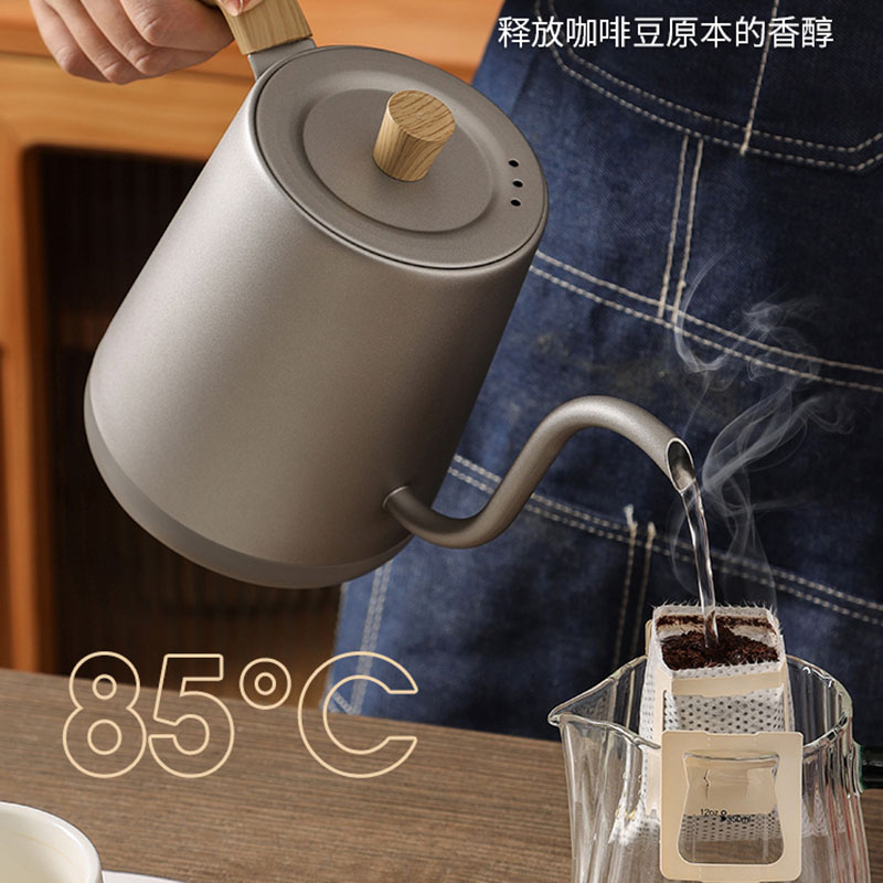 110v 220v Ketel theepot zwanen - Electric Kettle Gooseneck recensie en prijs