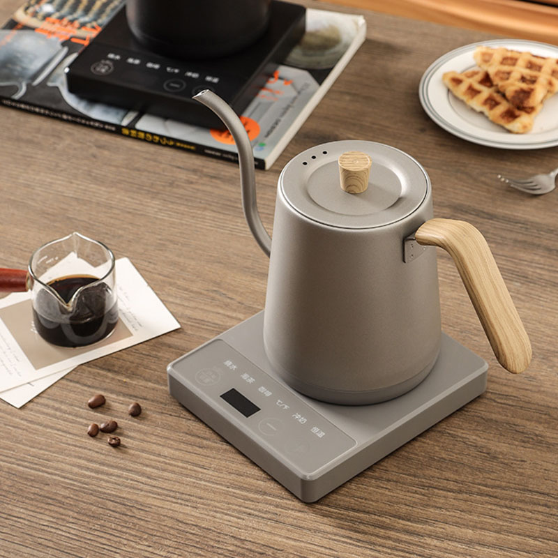 110v 220v Ketel theepot zwanen - Electric Kettle Gooseneck recensie en prijs
