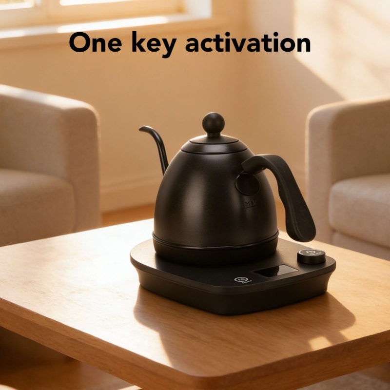 1000W Elektrische Zwanenhals W - Electric Kettle Gooseneck recensie en prijs