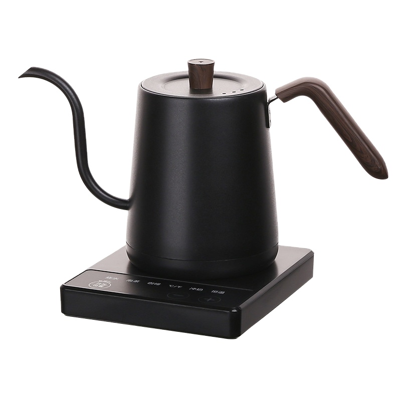 Elektrische gooseneck waterkok - Electric Kettle Gooseneck recensie en prijs