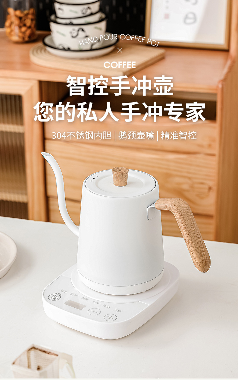 Elektrische gooseneck waterkok - Electric Kettle Gooseneck recensie en prijs